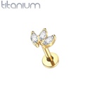 Labret waaier PWOS02