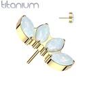 Top QDT159 (Steentjes) (Push pin)